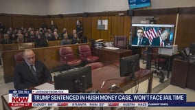 Donald Trump sentenced in hush money case