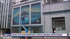 Seattle Waterfront orca mural restored