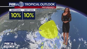 Tropical Update: No development seen in the Gulf