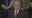 Gov. Abbott holds bond reform roundtable