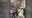 VIDEO: Agents, protesters in violent clash outside SF courthouse