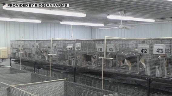 Ridglan Farms vet’s suspension upheld