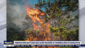 Firefighters battle 600-acre wildfire at Warren Grove Range in NJ