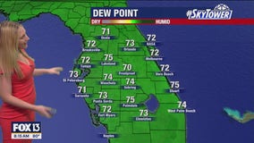 Tampa weather: Mainly sunny Sunday