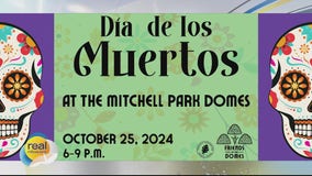 Día de los Muertos at the Mitchell Park Domes