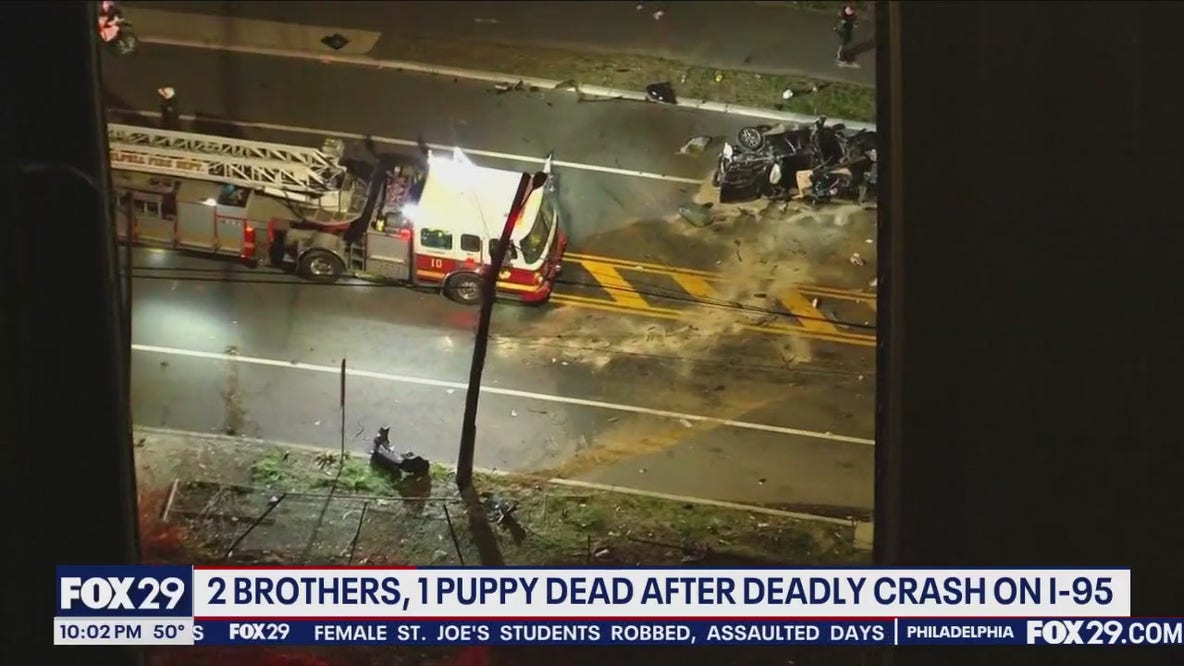 2 brothers, 1 puppy dead in I-95 crash
