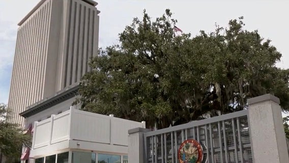 Gov. DeSantis creates Florida DOGE: Here's what it will do