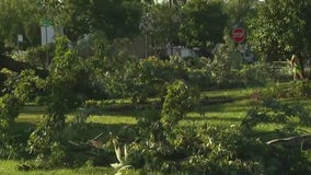 Des Plaines residents react to damage caused by overnight storms