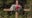 Teens memorialized after deadly Chisago crash