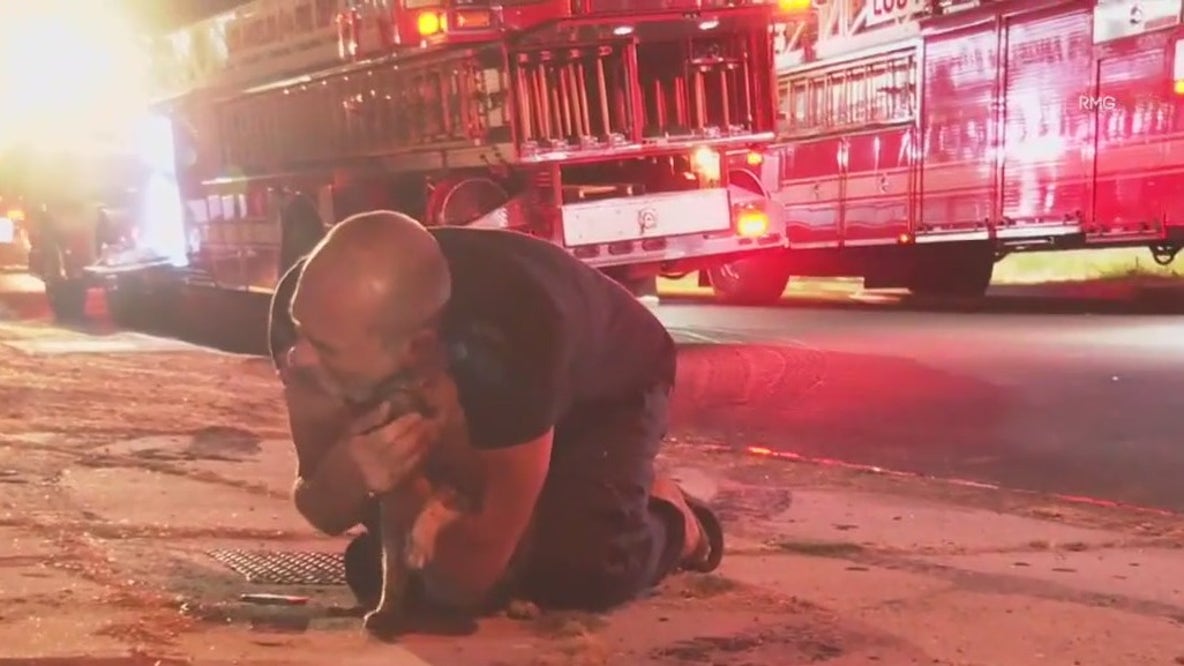 LA firefighters rescue man's cat from burning home