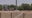 Phoenix Police IDs man who drowned after falling into canal