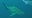 Sharkfest returns on National Geographic