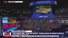 Former Chicago Bull Steve Kerr speaks at DNC