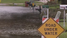 Alligators in Milton floodwaters pose threat