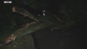 Severe weather damage in Evanston after storms barrel through