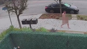 Naked intruder shot dead in Studio City