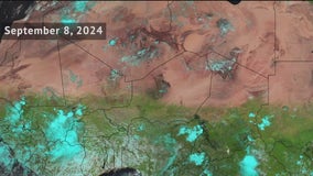 Parts of Sahara Desert turning green amid rain influx