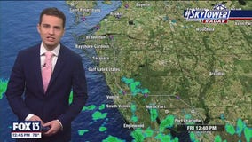 Tampa Weather | Sunny, low humidity this weekend