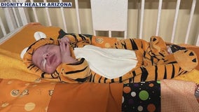 Too cute: Preemies mark first Halloween at St. Joseph's