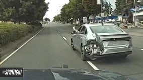 The Spotlight: Wild on Whippits