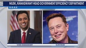 Trump appoints Elon Musk to lead Department of Government Efficiency