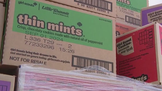 Girl Scouts hit with lawsuit after toxic contaminants study goes viral