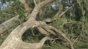 Houston-area residents dealing with fallen trees