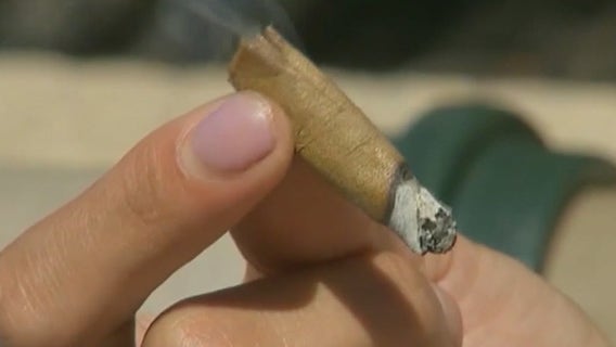 Final push to legalize recreational marijuana in Florida draws bipartisan support