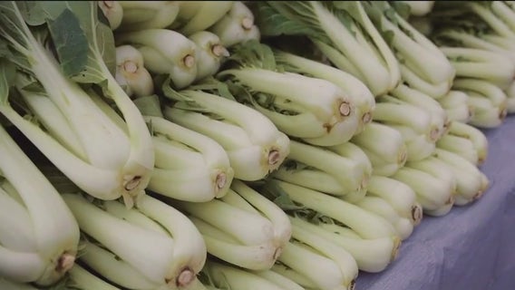 Green City Market expands SNAP support amid benefit cuts in Chicago