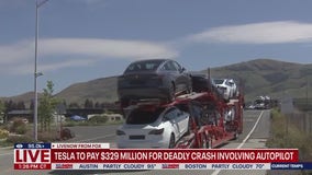 Parents say defective Tesla door handles trapped kids in back seat
