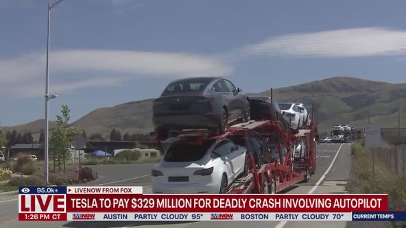 Parents say defective Tesla door handles trapped kids in back seat