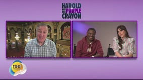 'Harold and the Purple Crayon'; Gino at the Movies