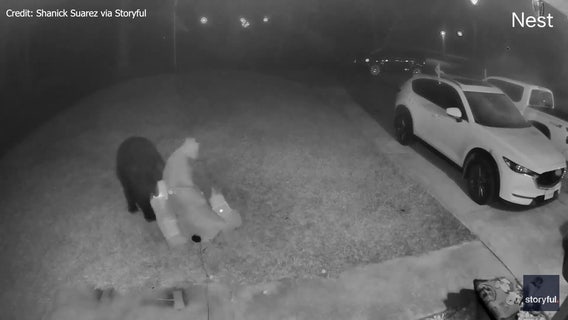 Video: Florida bear caught on camera making sure the Grinch doesn’t steal Christmas