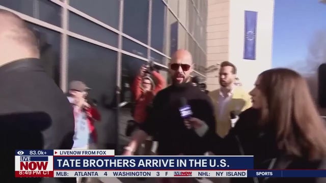 Andrew Tate at UFC 313