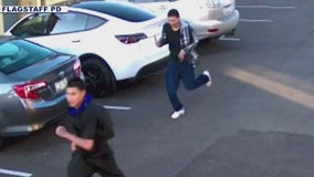 Flagstaff PD searching for shooting suspects