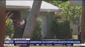 Florida Amendment 5 explained: homestead exemptions