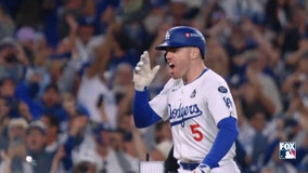 FOX One: All Your Sports in One Place