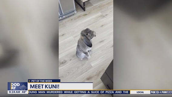 Meet Kuni: 'Pet of the Week' Rabbit