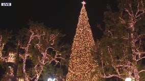 Tree-lighting ceremony at The Grove