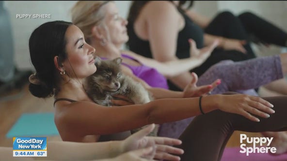 Puppy yoga is NYC's newest craze