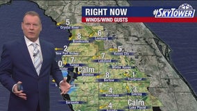 Tampa weather | Hot, windy and humid