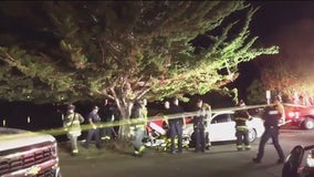 Man in sleeping bag run over by car in Berkeley's Aquatic Park