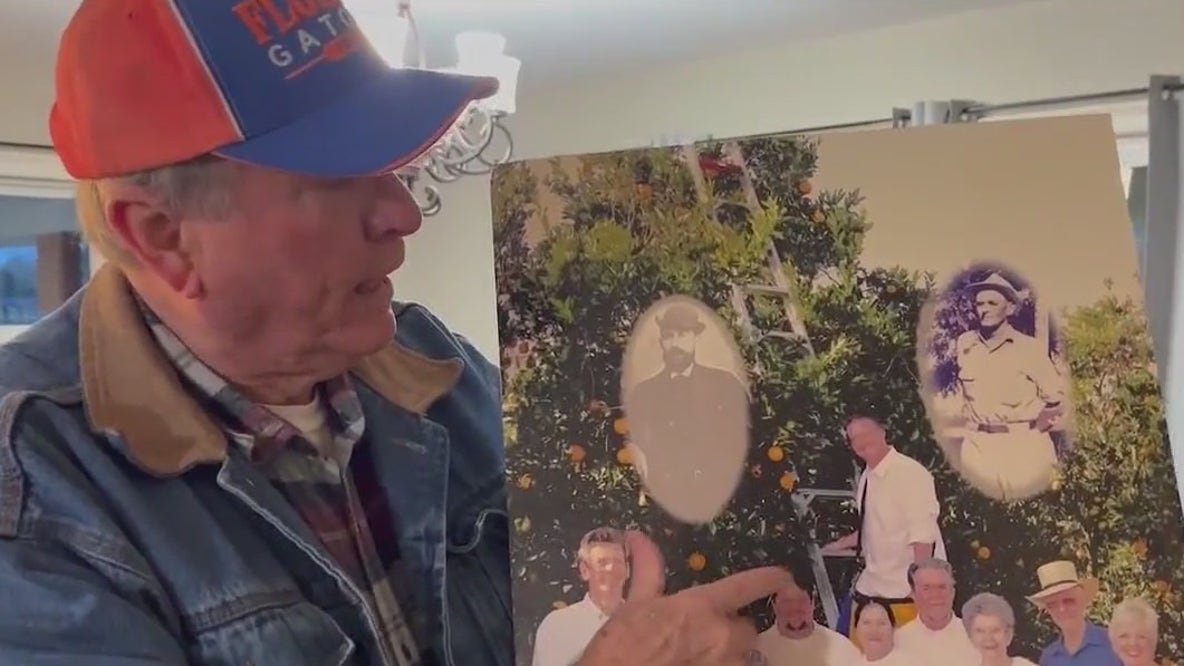 Citrus farmer prepares for final harvest