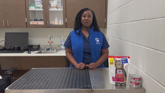 Veterinary medicine career | The Pet Pawcast