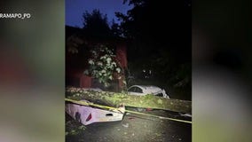 Storms rock NYC area, cause damage