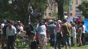 Chicago activists set to march near United Center during DNC