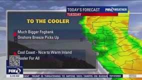 Cooler, fogbank