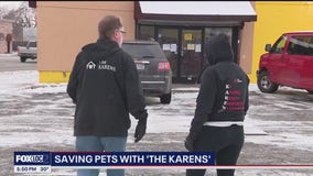 Saving Dogs in Freezing Weather