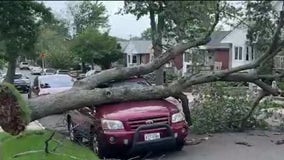 NYC Debby tracker live: Queens sees downed trees