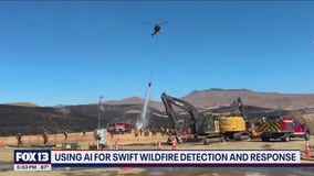 Using AI for swift wildfire detection, response